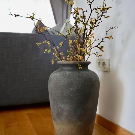 Apartament Begonja
