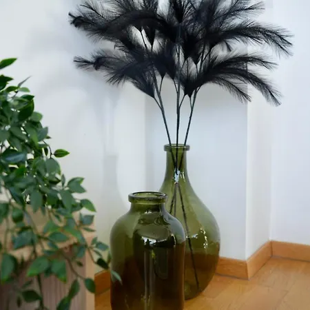 Begonja Apartament