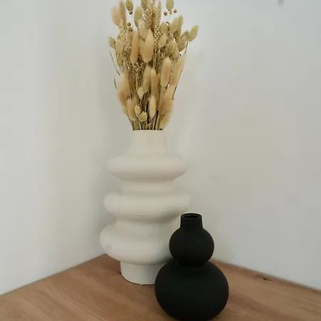 Apartament Begonja Zadar